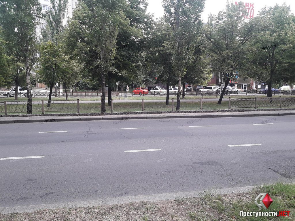 В Николаеве вдоль проспекта Центрального металлическое ограждение меняют на «живую» изгородь 9