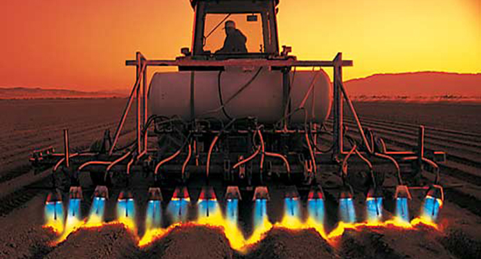 Огнем и…огнем. В Украине представили на выставке огненный культиватор