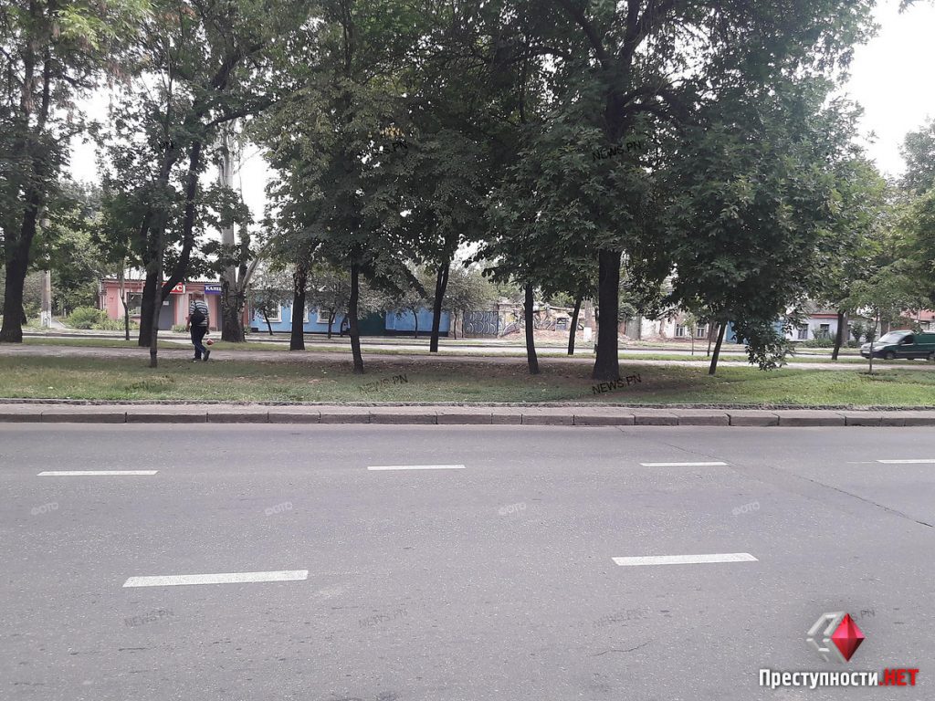 В Николаеве вдоль проспекта Центрального металлическое ограждение меняют на «живую» изгородь 5