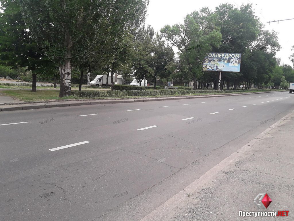 В Николаеве вдоль проспекта Центрального металлическое ограждение меняют на «живую» изгородь 7