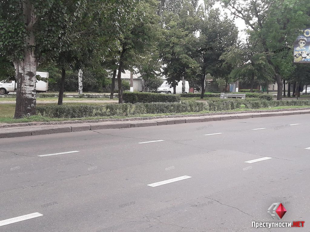 В Николаеве вдоль проспекта Центрального металлическое ограждение меняют на «живую» изгородь 1