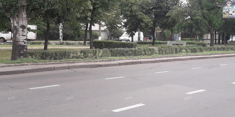 В Николаеве вдоль проспекта Центрального металлическое ограждение меняют на «живую» изгородь