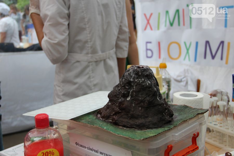 В Николаеве прошел первый "Научный пикник" с раскопками и химическими опытами 7