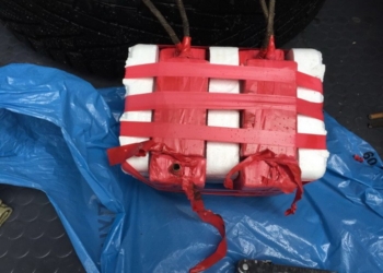 В Житомирской области задержали торговцев самодельной взрывчаткой на основе тротила