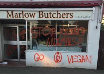 Французские мясники просят полицию защитить их от веганов