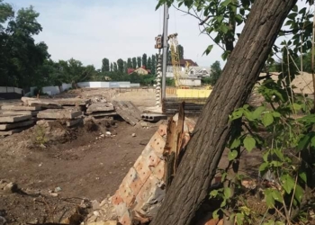 Фирма известной зоозащитницы без разрешений вырубает деревья и застраивает последний выход на пляж Леваневцев – депутат