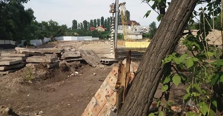 Фирма известной зоозащитницы без разрешений вырубает деревья и застраивает последний выход на пляж Леваневцев – депутат