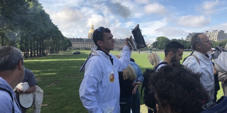 Во Франции из-за пестицидов тоже гибнут пчелы – их похоронили на Марсовом поле