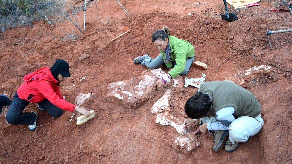 В аргентинской провинции Сан-Хуан были обнаружены останки ранее неизвестного вида динозавров, который получил название Ingenia prima - первый гигант 3