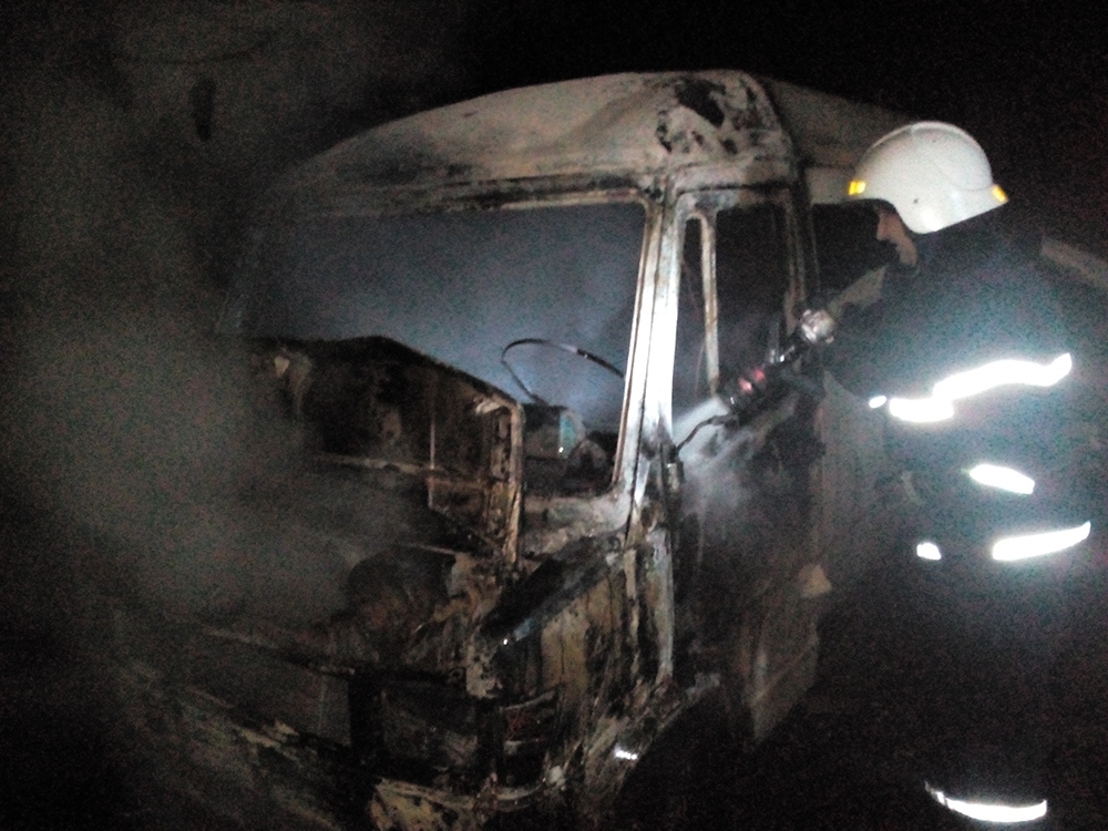 В Витовском районе Николаевщины пожарные тушили загоревшийся микроавтобус 1