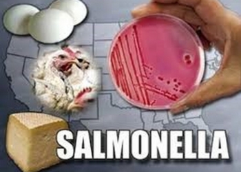 На Николаевщине зарегистрирована вспышка сальмонеллеза