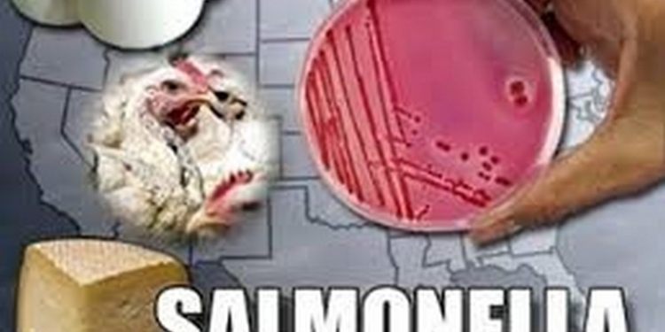 На Николаевщине зарегистрирована вспышка сальмонеллеза