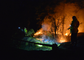 В Швеции лесные пожары привели к задержкам поездов