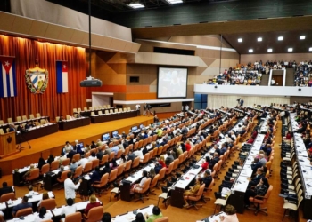 В новой конституции Кубы впервые появятся понятия «частная собственность» и «свободный рынок»