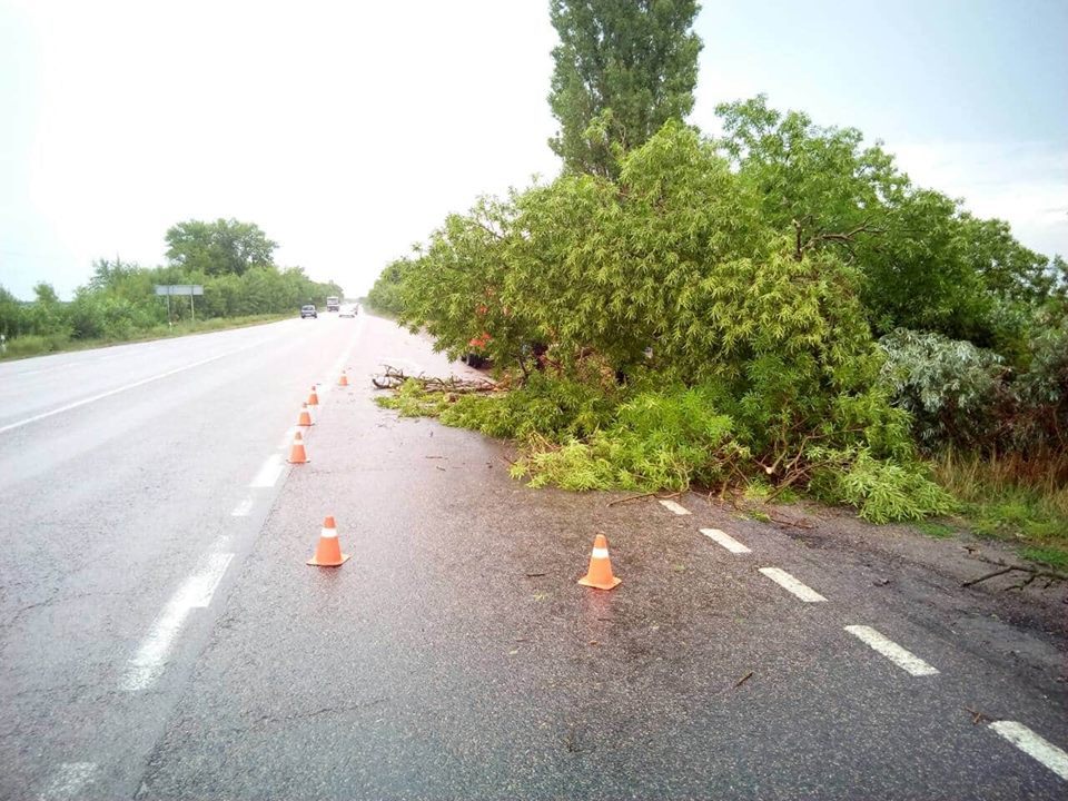 За прошедшие сутки спасатели Николаевщины дважды убирали поваленные непогодой дерева 1