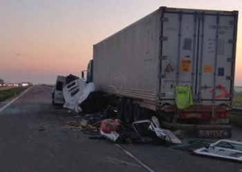 Водитель фуры, в ДТП с которой на Николаевщине погибли 5 белорусов, а еще 12 были госпитализированы, задержан