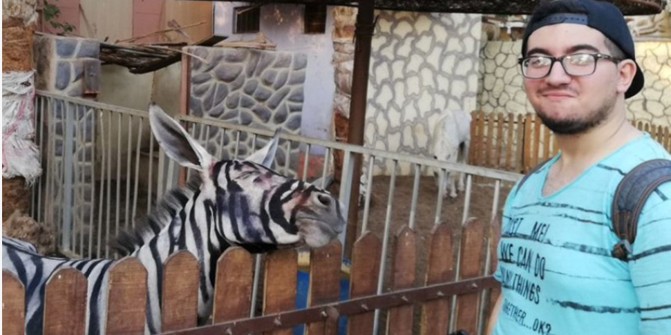 В египетском зоопарке из ослов «сделали» зебр 1