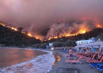 Восемь украинцев попросили украинского консула в Греции помочь им переехать из греческого города Кинета в Афины из-за лесных пожаров