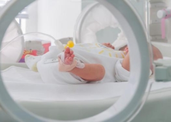 Неудачный эксперимент: в Голландии умерли 11 младенцев, чьи матери во время беременности принимали виагру