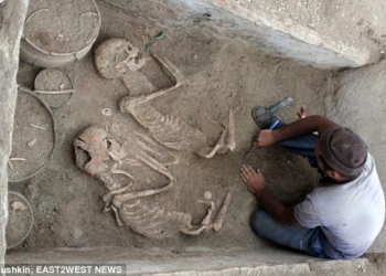 В Казахстане археологи нашли диковинное 5000-летнее захоронение: мужчина и женщина – рядом с колесницей и двумя лошадьми