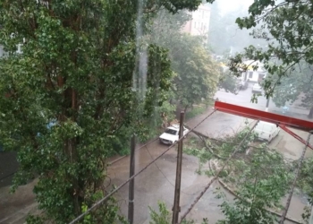 В Николаеве снова ливень. И снова падают деревья. В данном случае – на автомобиль