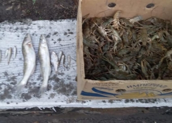 Николаевский рыбоохранный патруль поймал браконьера, сетями добывшего 118 раков