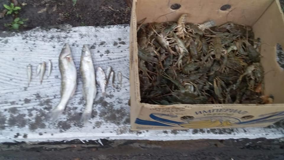Николаевский рыбоохранный патруль поймал браконьера, сетями добывшего 118 раков 1