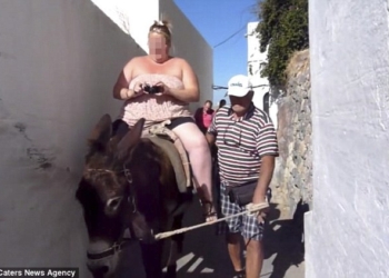 Из-за толстых туристов жителям греческого острова пришлось скрещивать своих ослов с мулами