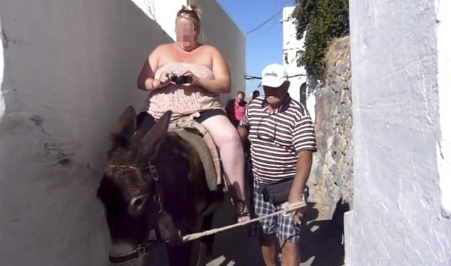 Из-за толстых туристов жителям греческого острова пришлось скрещивать своих ослов с мулами