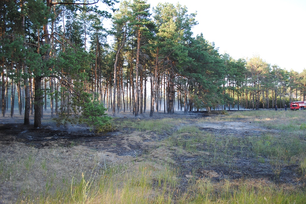 Под Николаевом снова подожгли Матвеевский лес, а в Очаковском районе – стерню на поле 1