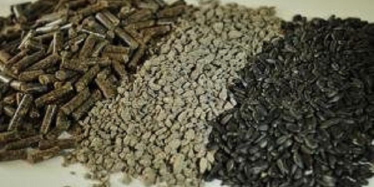 17 украинских производителей получили право экспортировать подсолнечный шрот в Китай. Два из них – из Николаевской области