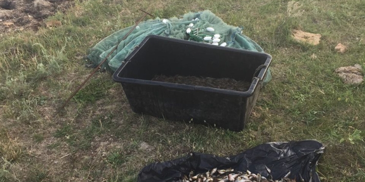 Жители Николаева и Коблево в Березанском лимане наловили более 12 кг бычков и креветок