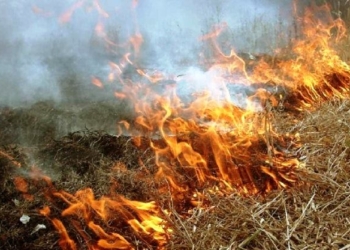 Во Врадиевском районе по непонятным причинам ночью сгорел 1 га пшеницы