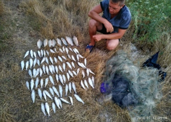 В Бугском лимане рыбинспекторы задержали двух браконьеров – в общей сложности те выловили почти 8 кг пузанка