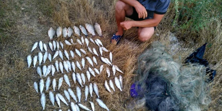 В Бугском лимане рыбинспекторы задержали двух браконьеров – в общей сложности те выловили почти 8 кг пузанка