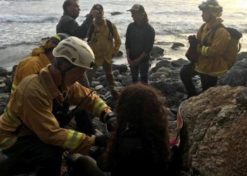 Американка на джипе упала с 60 метров и неделю ждала спасения