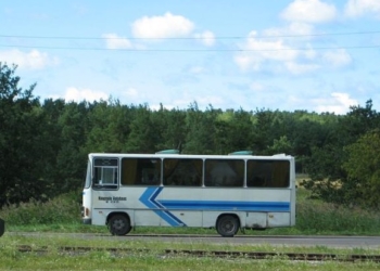 В Эстонии автобусное сообщение между уездами стало бесплатным