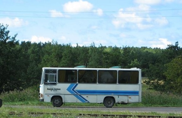 В Эстонии автобусное сообщение между уездами стало бесплатным