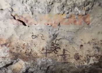 На Юкатане нашли пещеру майя с удивительными рисунками