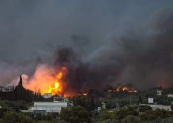 Украина предложила Греции помощь в тушении лесных пожаров