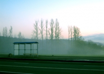 «Транспорта не было.  Что это такое?» – Сенкевич раскритиковал управление транспорта за срыв перевозок после празднования Дня ВМС