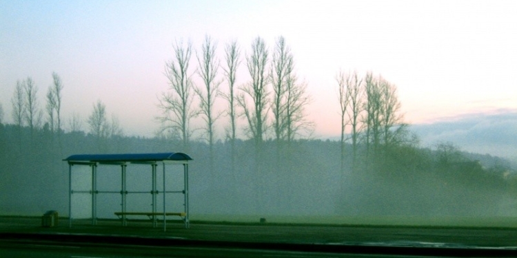 «Транспорта не было. Что это такое?» – Сенкевич раскритиковал управление транспорта за срыв перевозок после празднования Дня ВМС