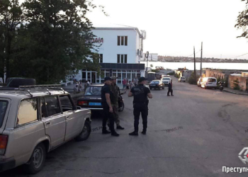 Пьяный водитель устроил допрос патрульным, возмущенный тем, что автомобили не пускают в яхт-клуб