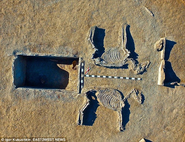 В Казахстане археологи нашли диковинное 5000-летнее захоронение: мужчина и женщина – рядом с колесницей и двумя лошадьми 3