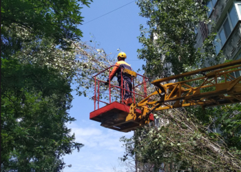 В Николаеве дерево упало на электрические провода – убирали угрозу спасатели