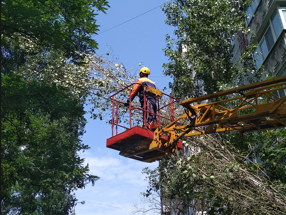 В Николаеве дерево упало на электрические провода – убирали угрозу спасатели 5