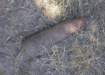 В лесном урочище села Зайвое нашли артснаряд