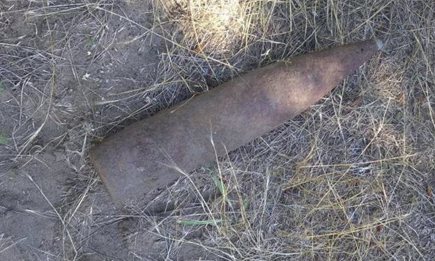 В лесном урочище села Зайвое нашли артснаряд