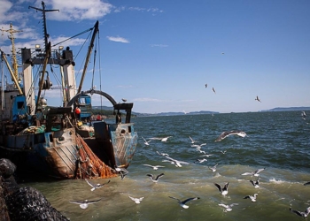 Судьба моряков задержанного россиянами очаковского судна ЯМК-0041 пока туманна: капитан – в СИЗО Симферополя, остальные четверо – в Балаклаве