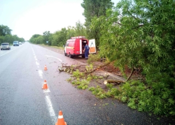 За прошедшие сутки спасатели Николаевщины дважды убирали поваленные непогодой дерева